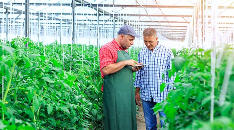 Five reasons food and beverage companies love business intelligence