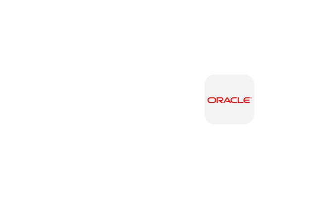 Powerful insights. Powerful business decisions. All with your Oracle data.